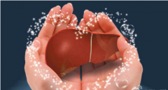 现代人如何防止酒精肝