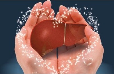 预防酒精肝很简单 不喝酒