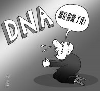 小三阳 - 乙肝病毒DNA检测