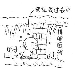 排卵障碍都有哪些危害？