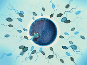 预防弱精症需警惕什么?