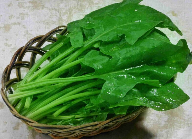 截瘫病人有褥疮吃什么好